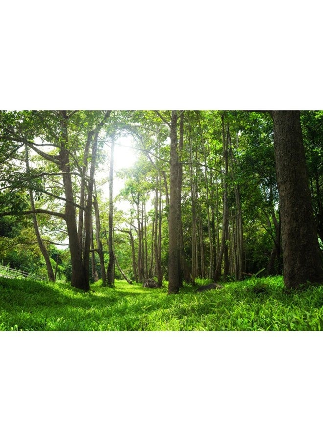 AWERT 30x12 inches Forest Terrarium Background Tropical Aquarium Background Green Tree Reptile Habitat Background Durable Polyester Background - Image 1